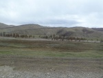 22310P1010447.JPG