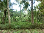 31037CIMG0899.JPG