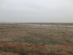 38920CIMG4811.gps.jpg