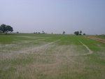 28230RIMG0229.JPG