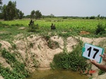 12656017d-irrigated-supplemental(groundwater-open-wells)-tobacco-vegetables-orchards.gif