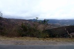 28369P1010380-1.JPG