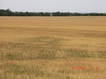29815CIMG1209.JPG