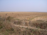 4672RIMG0104.JPG