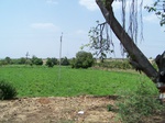 1767622042008(56).JPG