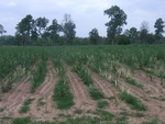 34613RIMG0080.JPG