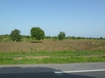 19371P1010217.JPG