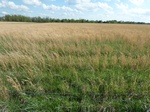 54010P1060214.JPG
