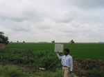 9429gt91b_cropland_rice.gif