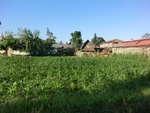 30475CIMG2044.JPG
