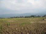 15348IMG_4189.JPG