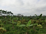 46183CIMG0472.JPG