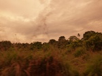 54977Berau (276).JPG