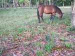 30020IMG_5365.JPG