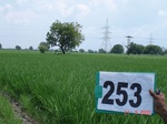 72350253b-irrigated-supplemental-tank-rice-wheat-doublecrop.jpg