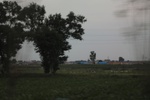 2024-08-05_16-08-53_877BF167-C7C8-41CA-8298-3A620EA82416.jpeg