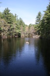 238IMG_4134.JPG