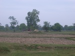 34589RIMG0055.JPG