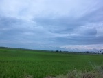 55934CIMG6658.JPG