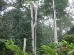 47655CIMG3992.JPG