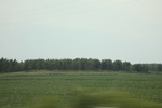 2024-08-05_16-09-00_09E67CEB-00AC-4916-812F-014A142C9DC6.jpeg