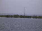 1577R0015238_small.jpg
