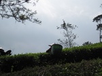 13852IMG_4127.JPG