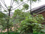 1712R0015321_tag.jpg