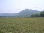28201RIMG0190.JPG