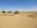 36710CIMG0479.JPG