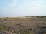1762022042008(100).JPG