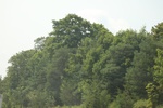 2024-09-24_16-32-09_FCAED897-73A6-4712-B2CF-9E0FC9224F71.jpeg