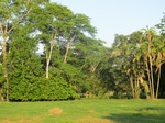31917IMG_5706.JPG