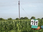 126970191b-rainfed-agriculture-mixedcrop-millet-dominant-soyabean.gif