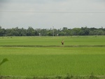 22035DSC00157.JPG