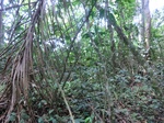 46951CIMG3288.JPG
