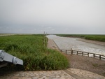 54345DSCN1619.JPG