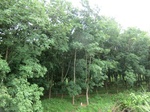 34849CIMG1520.JPG