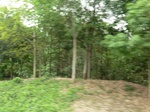 50687CIMG1316.JPG