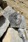 28660P1010677-1.JPG