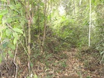 46777DSC02115.JPG