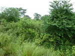18300P1000136.JPG