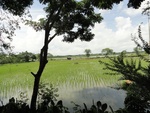 26057DSC00478.JPG
