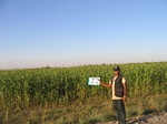 10191022-irri-sorgum-1d.jpg