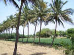 1763822042008(18).JPG