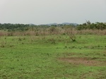 51960CIMG0702.JPG