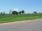 19574P1010421.JPG