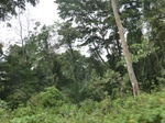 49508CIMG5845.JPG