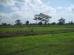 33342IMG_5681.JPG