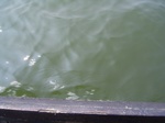 580R0015126.jpg